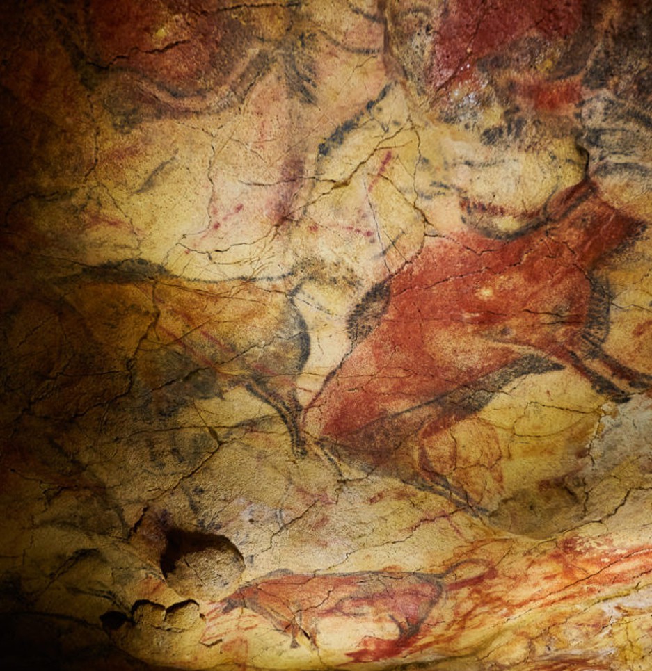 Customer Register Page Image